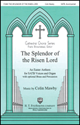 cover for The Splendor of the Risen Lord