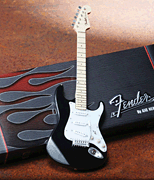 cover for Fender(TM) Stratocaster(TM) - Classic Black Finish