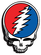 cover for Grateful Dead (Skull Logo) - Chunky Magnet