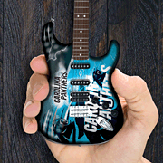 cover for Carolina Panthers 10 Collectible Mini Guitar