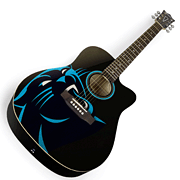 cover for Carolina Panthers Acoustic Guitar