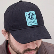 cover for Walrus Audio Snapback Hat