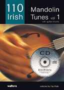 cover for 110 Irish Mandolin Tunes