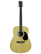cover for Adult Dreadnought Acoustic Natural Guitar