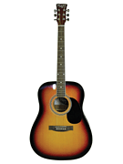 cover for Adult Dreadnought Acoustic Guitar