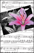 cover for Recital Program #79 - Pink Flower and Music