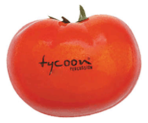 cover for Tomato Veggie Shaker