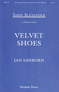 cover for Velvet Shoes