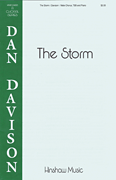 cover for The Storm