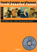 cover for Irish Session Tunes - The Orange Book