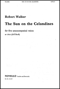 cover for Robert Walker: Sun On The Celandines
