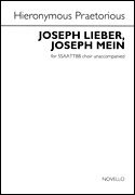 cover for Joseph Lieber, Joseph Mein