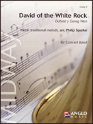 cover for David of the White Rock (Dafydd y Gareg Wen)