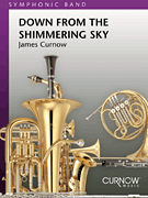 cover for Down from the Shimmering Sky