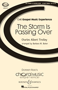 cover for The Storm Is Passing Over