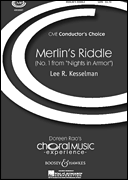 cover for Merlin's Riddle