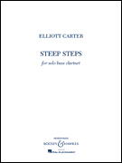 cover for Steep Steps