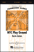cover for NYC Play Ground