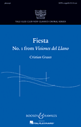cover for Fiesta