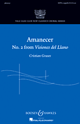 cover for Amanecer