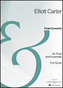 cover for Flute Concerto