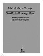 cover for Two Elegies Framing a Shout
