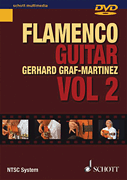 cover for Flamenco Guitar Vol. 2