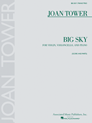 cover for Big Sky