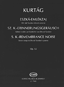 cover for Remembrance Noise-vx/vln